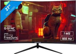 RAIDER Pro Gaming Monitor FreeSync/G-Sync