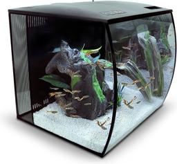 Fluval Aquarium Vissen