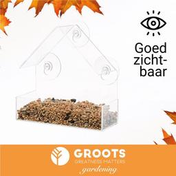 Groots Hangend Vogelhuisje Hangend aan