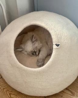 Cat cave kattenmand wit