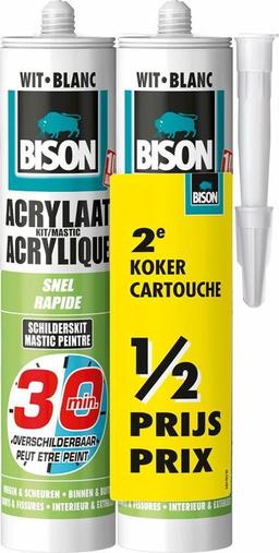 Bison Acrylaatkit Overschilderbaar 30 Minuten