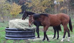 OkPlast Hooi Ring Feeder Ø