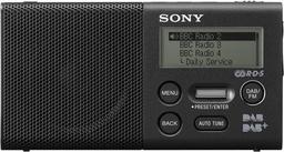Sony XDR-P1