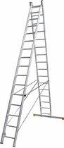 reform ladder