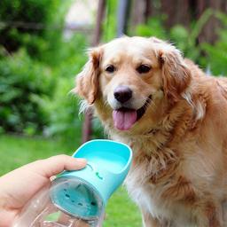 Waterfles 350ml honden fles water