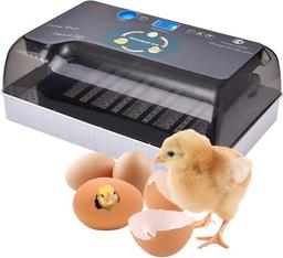 Automatische Broedmachine Voor Eieren Met